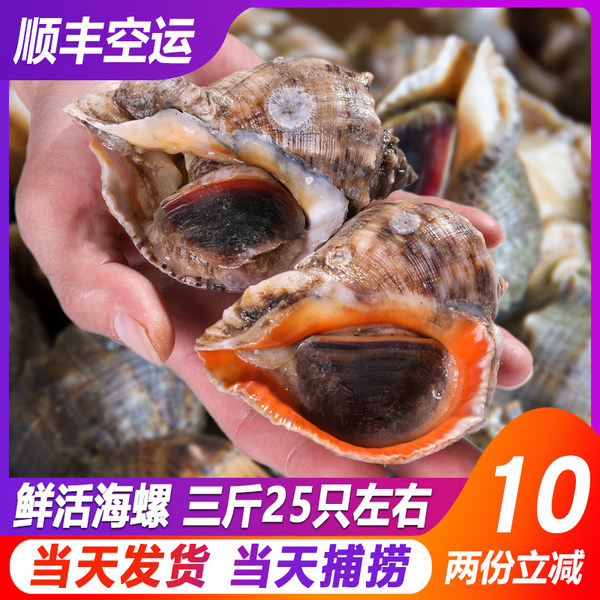 御中纯品 新鲜大连野生大海螺 3斤装 天猫优惠券折后¥93包邮(¥108-15) 御中纯品 新鲜大连野生大海螺 3斤装 天猫优惠券折后¥93包邮(¥108-15)