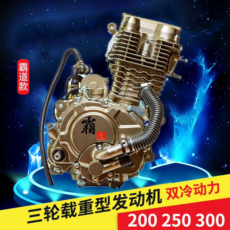 Longxin original factory lightning three-wheeled motorcycle engine 200 250 300cc water-cooled power