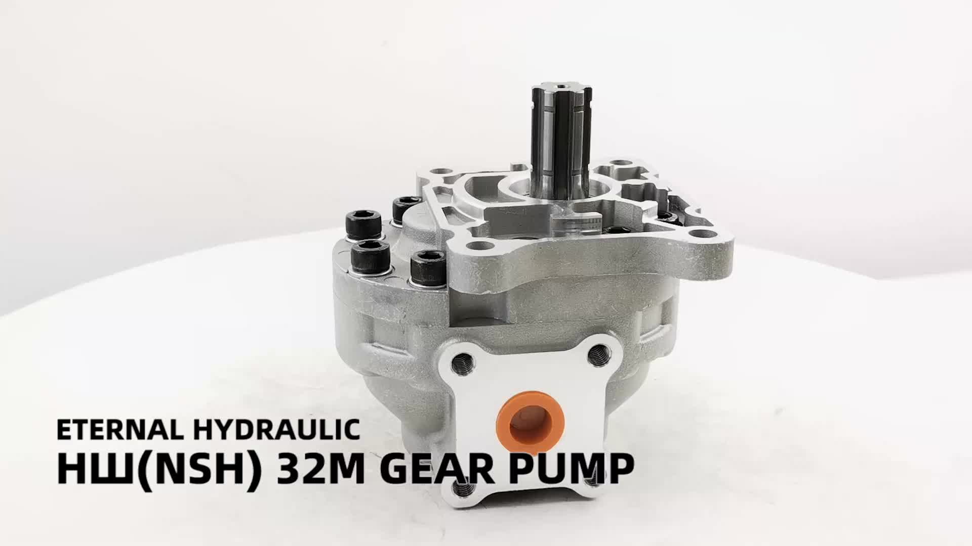 Multiple Pump Units Low Noise Hydraulic Gear Oil Pumps,Belarus Nsh 16g