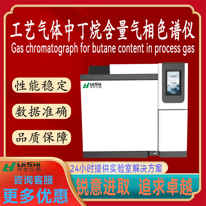 多功能上海辉世GC817工艺气体中丁烷含量分析检测仪上门安装培训