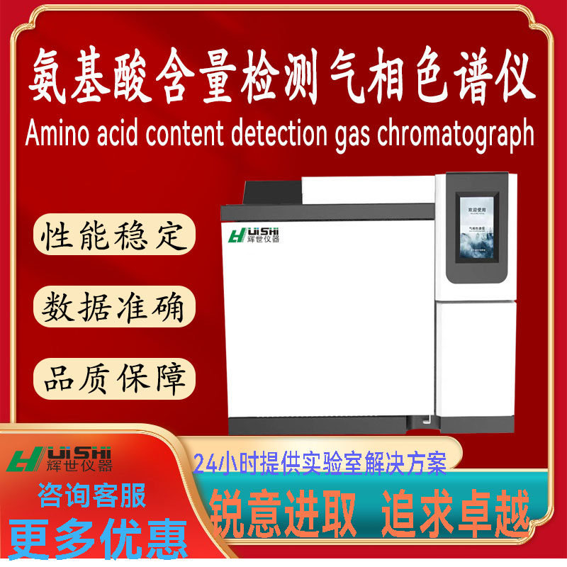 氨基酸检测用气相色谱仪 氨基酸分析仪 氨基酸检测仪 氨基酸含量