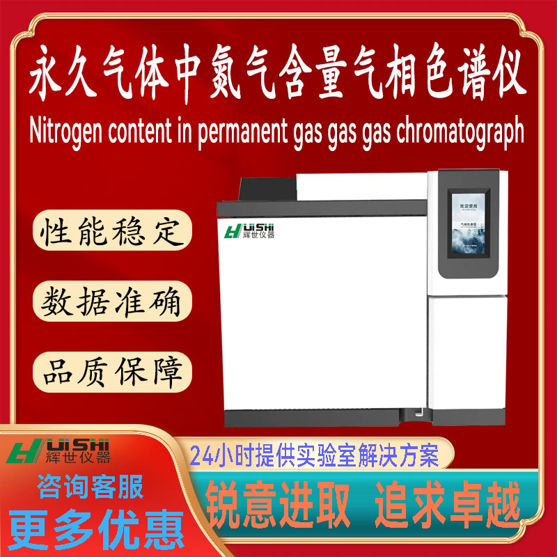 多功能上海辉世GC655永久气体中氮气含量气相色谱专业分析仪器