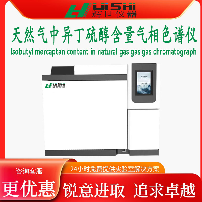 天然气中异丁硫醇含量分析检测仪 天然气液化气中硫化氢分析仪