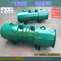 FBD2 * 5 5 5 11 15 22 22 30KW Mining flame-proof type press-in type Screwing Axial local ventilator Koxiang