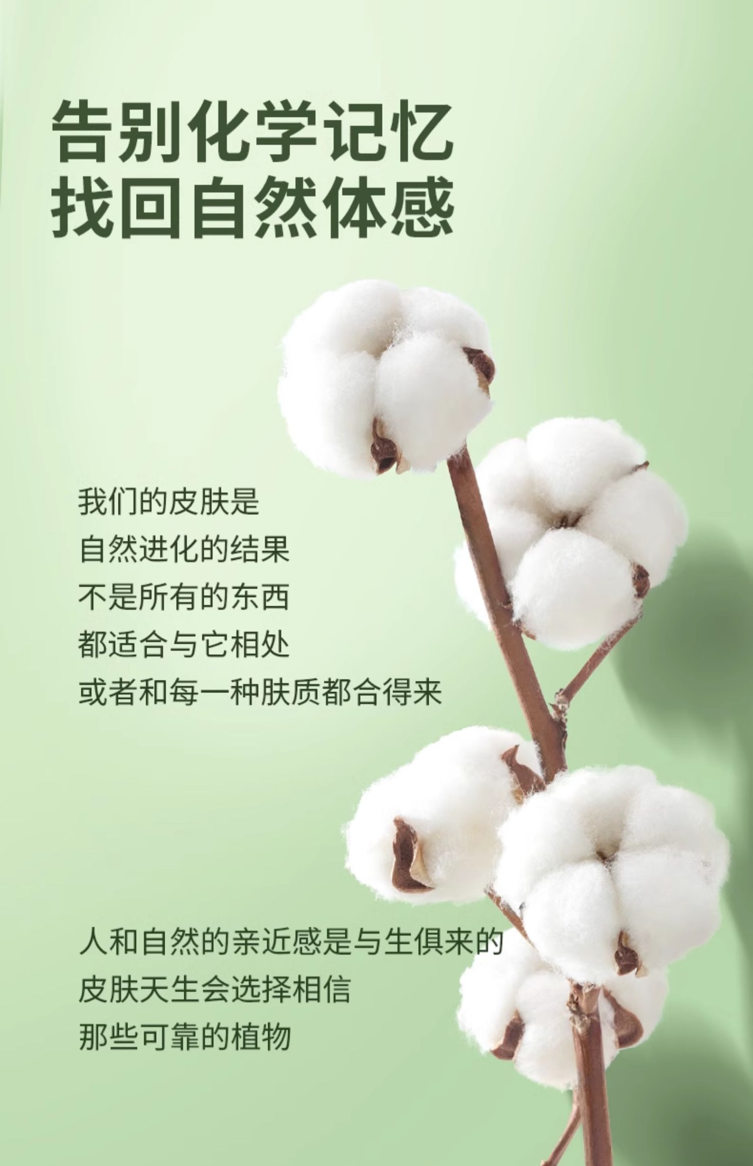 安享好物 安享A级卫生巾-全棉时代奈丝公主 纯棉 日用卫生巾 国标