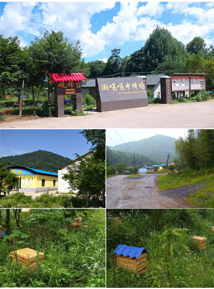 小程序 淘宝详情_03.jpg