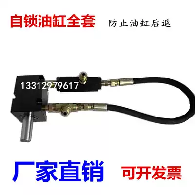 Self-locking cylinder mold cylinder special self-locking valve to prevent cylinder back import self-locking valve CPTS-03