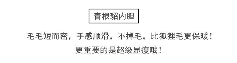 Manteau de fourrure femme - Ref 3174143 Image 18