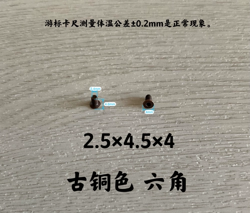 Double C Luxury Care Chanel маленькая шлепа