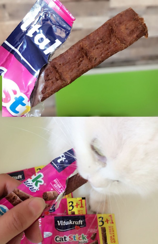 Malt Bear Wei Ta Kraft Vitakraft Cat Cat Cat Cat Cat Snacks Miệng Mèo Thịt khô 4 - Đồ ăn nhẹ cho mèo cám royal canin