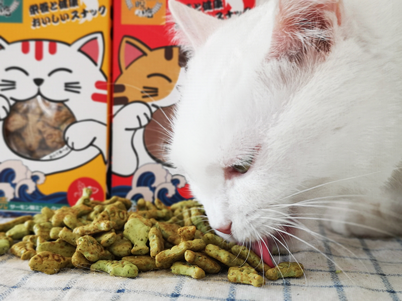 Malt Bear Yuji Yuxiao Ăn cá nhỏ Bánh quy mèo Snacks Catnip Bánh quy Molar Cleansing Fish Khô 90g - Đồ ăn nhẹ cho mèo đồ ăn vặt cho mèo