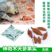 Gỗ Scorpio Fruit Cat Snacks Molar Cleansing Cat Mint Khai vị lông mèo ăn vặt 3-4 túi