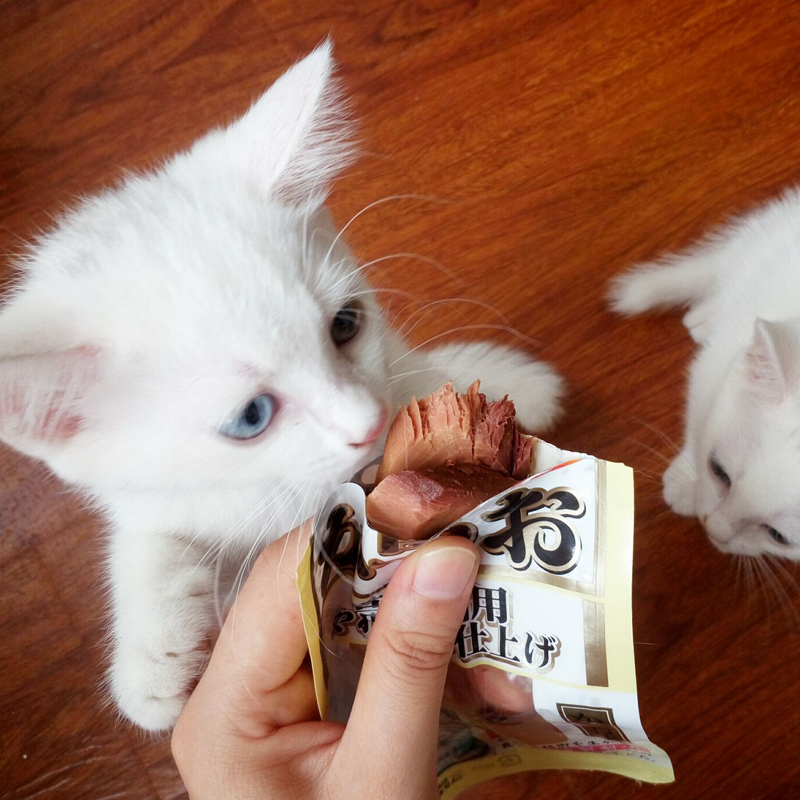 Malt gấu / 传说 传说 一 一 鲣 条 条 块 块 22 22 22 22 22 22 22 22 22 thức ăn mèo catsrang