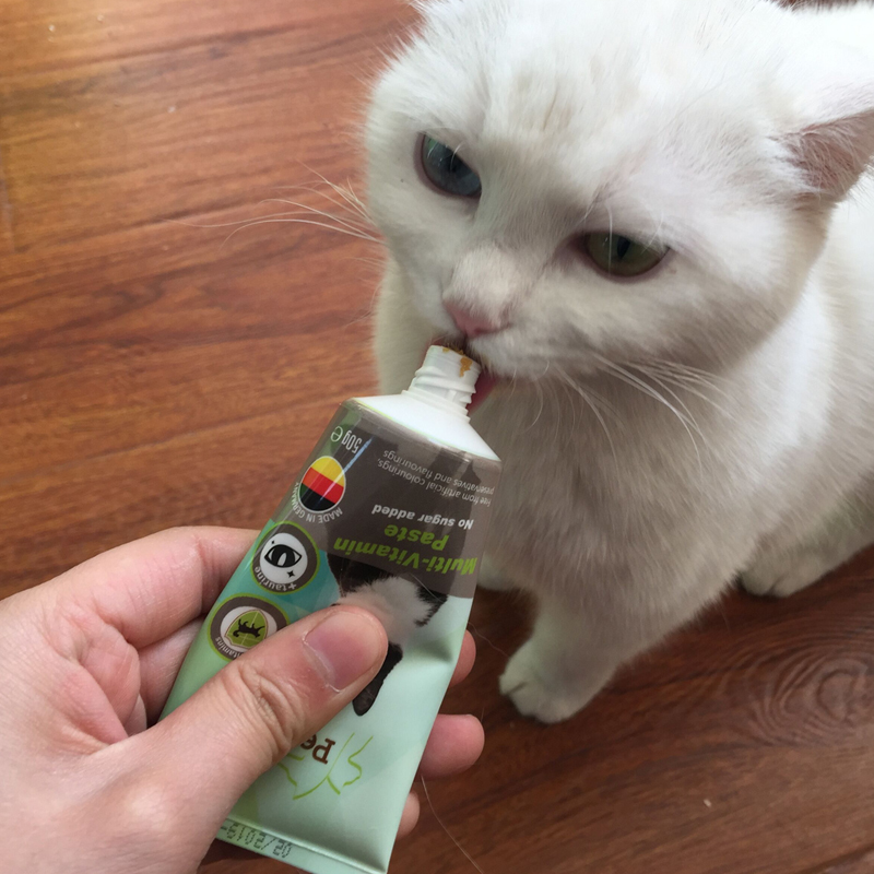 Malt Bear Đức Petive Life Pitila Cat Vitamin 50g Miễn phí vận chuyển 19.12 - Cat / Dog Health bổ sung Sữa cho chó con mất mẹ