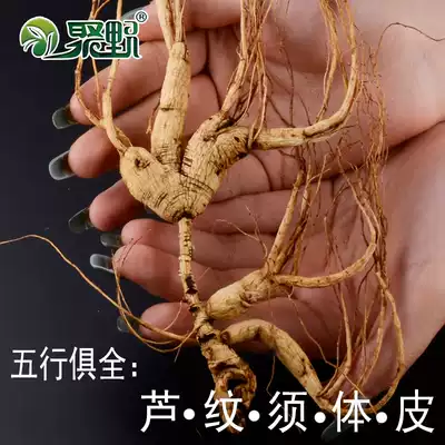 Juye Changbai Mountain Wild Ginseng Forest Ginseng Changbai Mountain Wild Ginseng Northeast Special Product Base Direct Sales