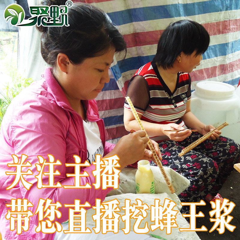 Poly Wild Long White Mountain Fresh Bee King Suckling Royal Jelly Linden Tree Royal Jelly