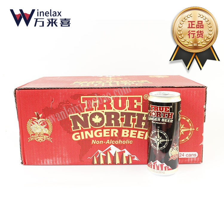 Import Tino ginger taste soda dry ginger beer TRUE NORTH Ginger beer 24 Hall