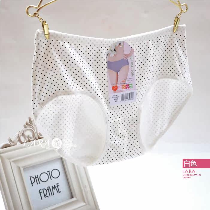 Slip en coton - Ref 642813 Image 37