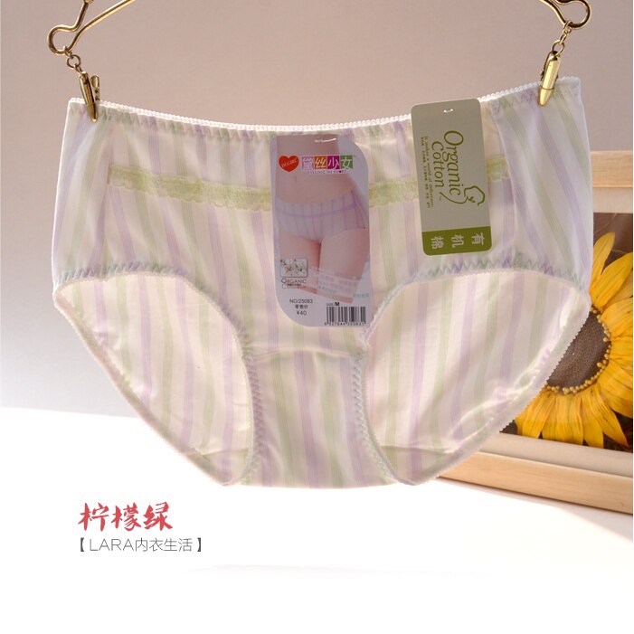 Slip jeunesse en coton - Ref 643034 Image 34