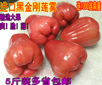 Thailand fresh black King Kong lotus mist Black pearl wins Taiwan Hainan Lotus mist fresh fruit sweet 5 catty