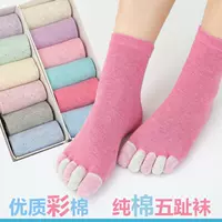 Đặc biệt mùa thu và mùa đông cotton 5 ngón tất cao cổ