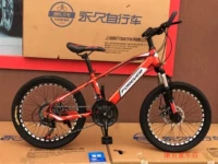 Китай красный (21 скорость переменные, герметизация центральной оси)