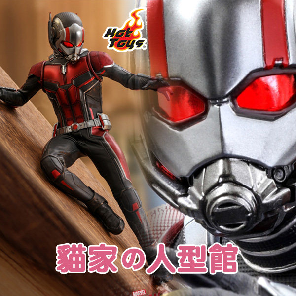 (Cat's Spot) HT HotToys MMS497 1:6 Ant-Man 2: The Wasp Appears Ant-Man 3 0