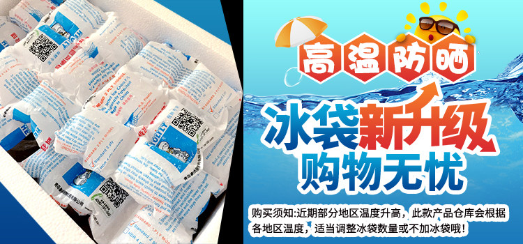 American Si Dao Ice Pack Pack Poster-2020.jpg