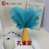 Павлин синий