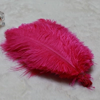 Роза красный 1