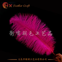 Роза красный 1