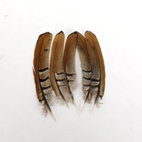 Выбранные натуральные цвета около 10 см 1