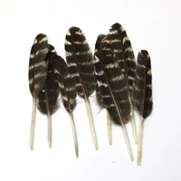 Цветочный прямой нож 7-11 см 10 штук