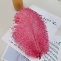 Арбуз красный 1