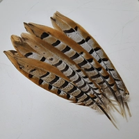 Выбранные натуральные цвета около 30 см 1