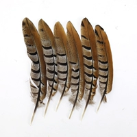 DJW около 20 см 2