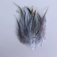 Серебряная края шеи 6-11 см. Основной цвет 50 штук