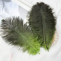 Зеленый, градиент