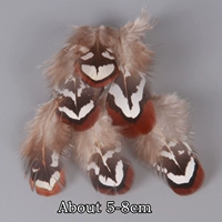 20 маленьких перьев в земной курице