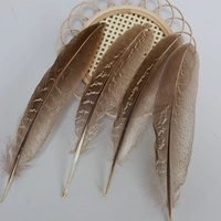 Перья куриного гнезда Gongshan 12-18см, оригинальный цвет, 20 шт.