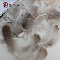 Zhongdiao, около 50 оригинальных цветов