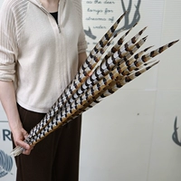 Выбранные натуральные цвета около 100 см 1