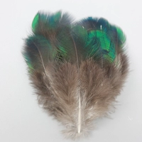 Таблетки Evergreen 4-8см №31, 20 шт.