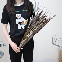 Натуральный цветовой хвост около 70 см 1