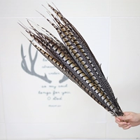 Натуральный цветовой хвост около 60 см 1