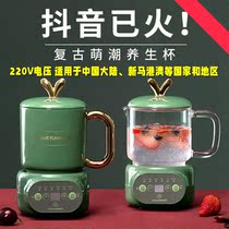 Small Pumpkin Health Preserving Pot Ceramic Wellness Cup Electric Heating Saucepan Home Multifunction Fully Automatic Mini Mini Cooking Tea