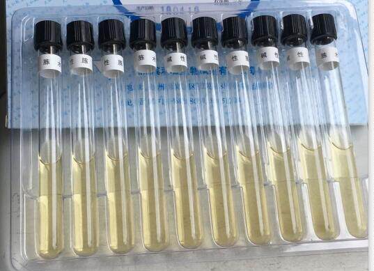 碘中和增菌培养基9ml*10支 天和品牌杭州滨和微生物检测实验用品