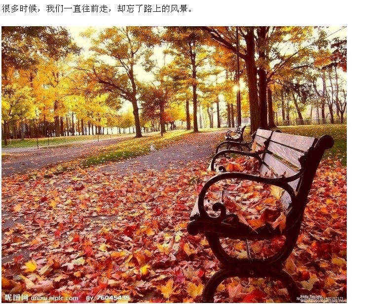 chargeur - Ref 1295160 Image 12