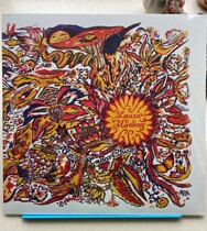Spot folk Laura Marling Alas I cant Swim vinyl LP brand new