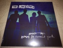 Book The Prodigal Libertines - Anthems For Doomed Youth vinyl LP